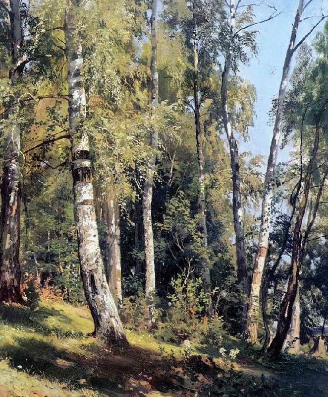 Birch Grove, Ivan Shishkin